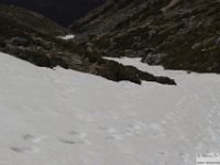 2026-04-18 Velino da S. Maria in Valle 200